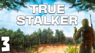 S.t.a.l.k.e.r. True Stalker #3. Логово Собак И Странные Огоньки