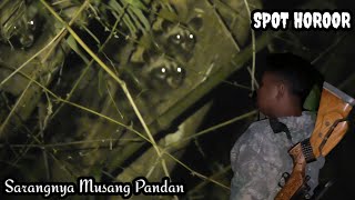 Berburu Sensasi Belor Musang Poin Babon Langsung Di Masak