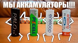 Сравнение Аккумуляторов Aa Pkcell, Palo, Enelong, Eneloop