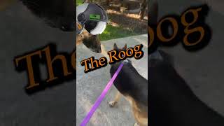 By Popular Request - The Roog