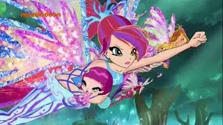 Winx Club - Season 6 Episode 2 - Sirenix Transformation Dutch