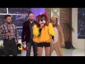 Perro Guarumo metiche