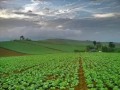 Dab Neeg Tus Txiv Dev Txhom Tus Hluas Nkauj Deev Dab Neeg Tus Txiv Dev Txhom Tus Hluas Nkauj Deev