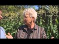 Harvest Time - Vegetable Garden - Episode 9 Harvest Time - Vegetable Garden - Episode 9