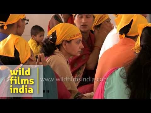 Devotees singing Sai Naath Tere Hazaaron Haath