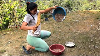 Acompáñame Al Proceso De Hacer Un Buen Café