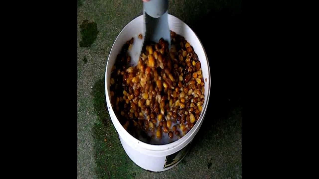 Le domaine de Nizhniy Novrogod. La pêche