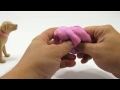 Nickelodeon Mood GAK....Purple To Pink. LPS-Dave & Butch Create A New Color!