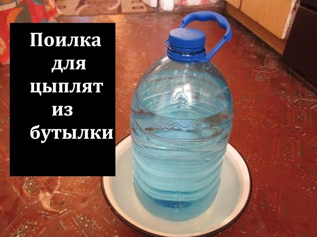 Поделки на Новый год 2018 своими руками: фото и Ох, уж эти глазки! или Как Лена-Селения расписывает личики куклам