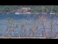 Chrisher Dennis Search Pkg Chrisher Dennis Search Pkg