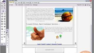 Web development