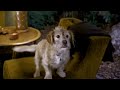 Anchorman trailer - youtube