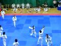 Koreai Taekwondo Bemutató Válogatott 2009.09.25