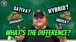 Sativa, Indica, Hybrid Whats The Difference?