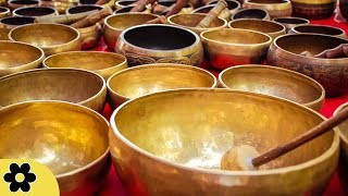 6 Hour Deep Healing Tibetan Bowl Music Nature Sounds Relaxing Music Calming Music 2076c 6 Hour Deep Healing Tibetan Bowl Music Nature Sounds Relaxing Music Calming Music 2076c