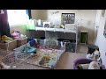 A BUNNY!!! New Cage Layout, Room Tour!