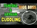 Bigg Boss - 22nd November 2013 : Tanisha-Armaan caught CUDDLING together in the house