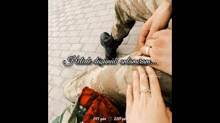 Whatsapp Ucun Maraqli Statuslar Sevgiye Aid Video Sounds App 2021 Status Ucun Video,