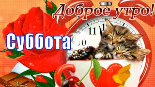 ☕Доброе Утро Суббота🌼Отдыхаем Расслабляемся 🌺Веселая  Песня Пожелание С Добрым Утром🌞Видео Открытка