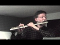 Georg Philipp Telemann: Flute Fantasy g Minor