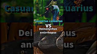 Deinonychus Vs Cowary