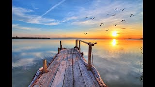 (Sittin' On) The Dock Of The Bay....Sax Cover by Wuffy on Kohlert Winden
