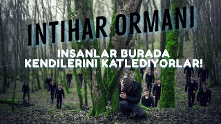 Bu Orman Çok Ürkütücü İnti̇har Ormani Aoki̇gahara