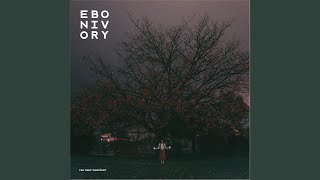 Watch Ebonivory More Than Numbers video