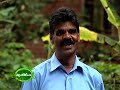 mushroom cultivation