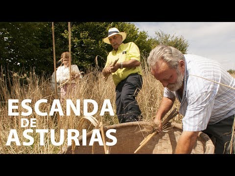 vídeo sobre Escanda de Asturias