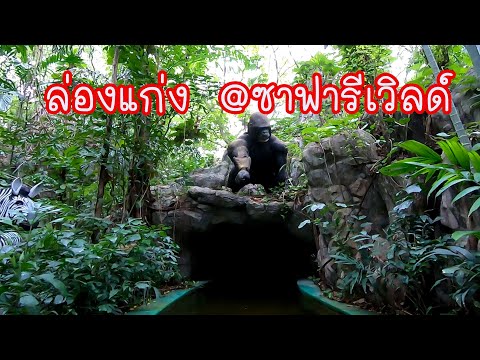 ล่องแก่ง ผจญภัย  (Jungle Cruise) |  ร.ร.พระยามนฯ  เรียนรู้สู่โลกกว้าง @ Safari World (27/06/62)