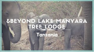 Celestielle &Beyond Lake Manyara Tree Lodge, Lake Manyara National Park, Tanzania