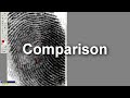 compare