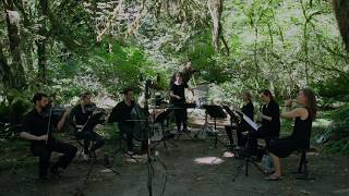 Aaron Travers - Sanctuary (American Wild Ensemble)
