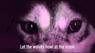 Watch Super Furry Animals Wolves video