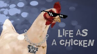 Life As A Chicken School Girl A.i. Simulator