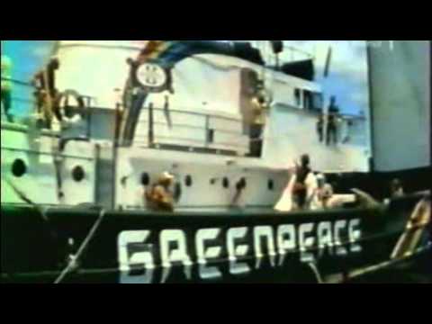 Greenpeace Rainbow Warrior Iii Wiki