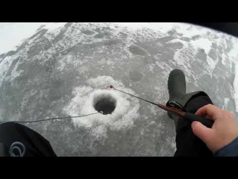 ловля судака с эхолотом практик эр-6 pro видео ловля судака с эхолотом практик эр-6 pro видео