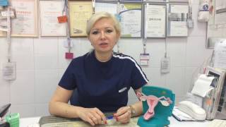 Гинеколог письменскова о.а Гинеколог письменскова о.а