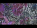José González - Leaf Off / The Cave (Official Lyric Video)