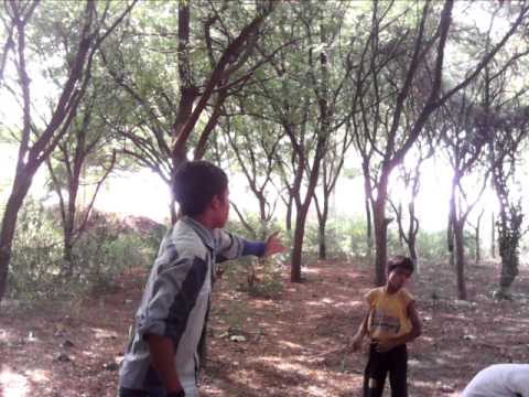 katto gilehri ray gruop dance