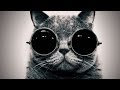 Cat eats woman: Monty Python tribute