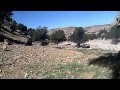 Battue de sanglier au Maroc, belle battue ! (Youssef)