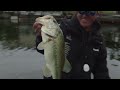 Smc 12 12 In Search Of Monster B Sight Fishing Smc 12 12 In Search Of Monster B Sight Fishing