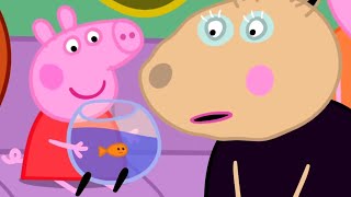 Peppa Pig English Episodes | Peppa Pig and Goldie the Fish | Peppa Pig Official