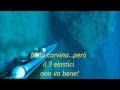 Video pescasub ... corvinona del 10 Maggio 2012