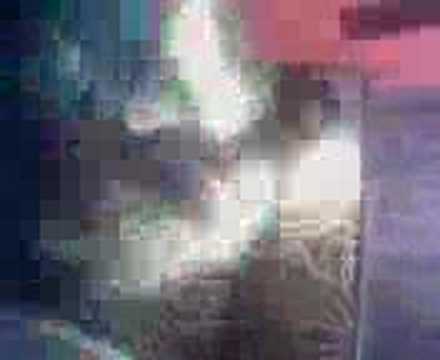 Randy raza n sheddy raving