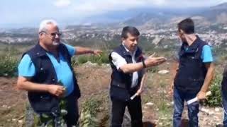 Soğukoluk Yaylası Ağaçlandırılıyor