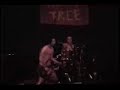 Holly Tree - Best Wishes