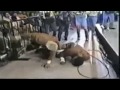 wrestling